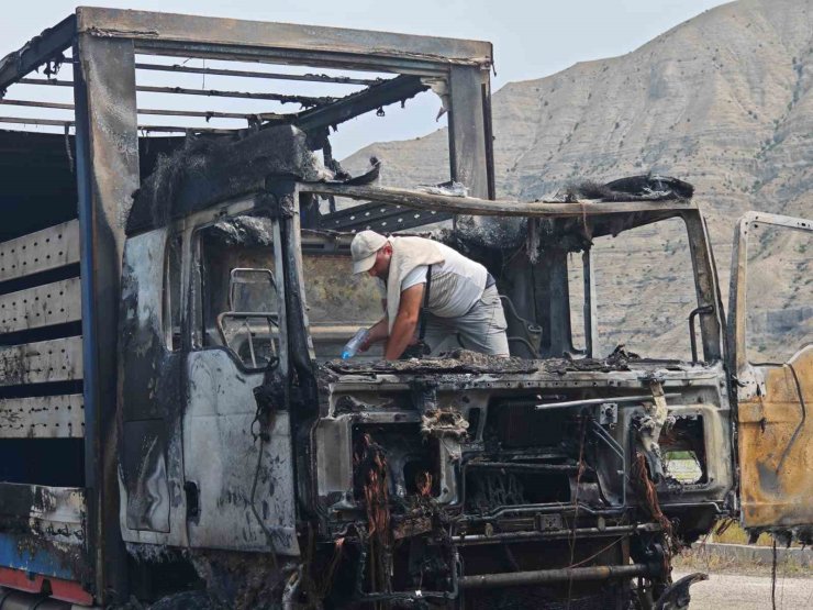 Erzurum-Artvin yolunda tır alev alev yandı