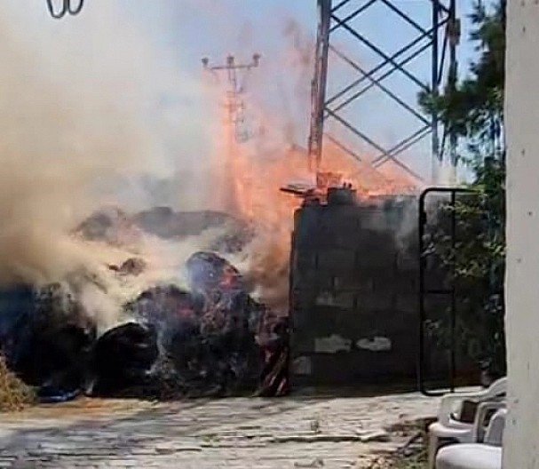 Elektrik kabloları odunlukta yangına neden oldu