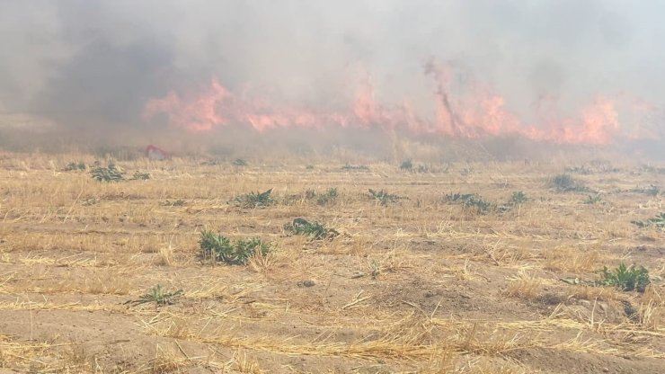 Adilcevaz’da arpa tarlasında yangın