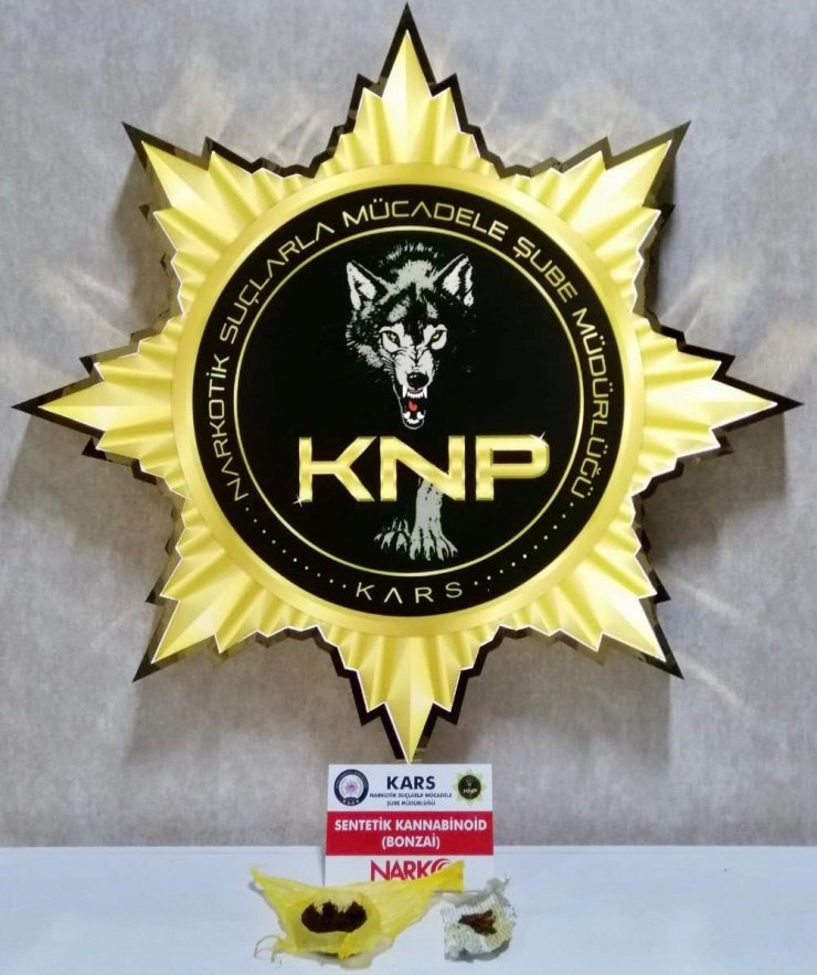 Kars’ta Bonzai ele geçirildi