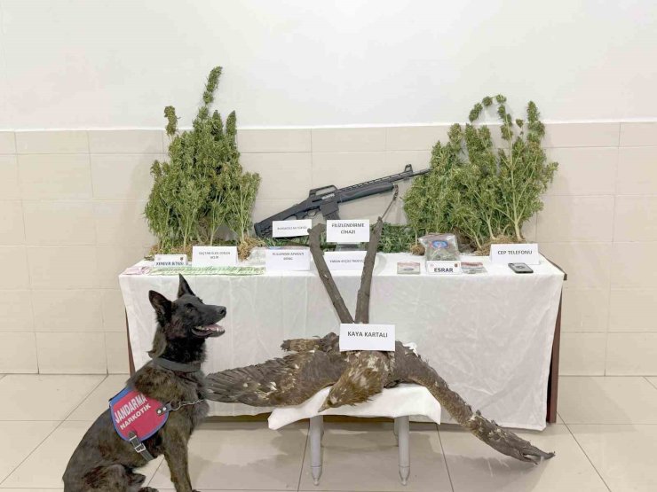 Tunceli’de uyuşturucu operasyonu