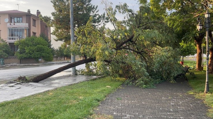 Erzincan’da sağanak ve fırtına hayatı felç etti