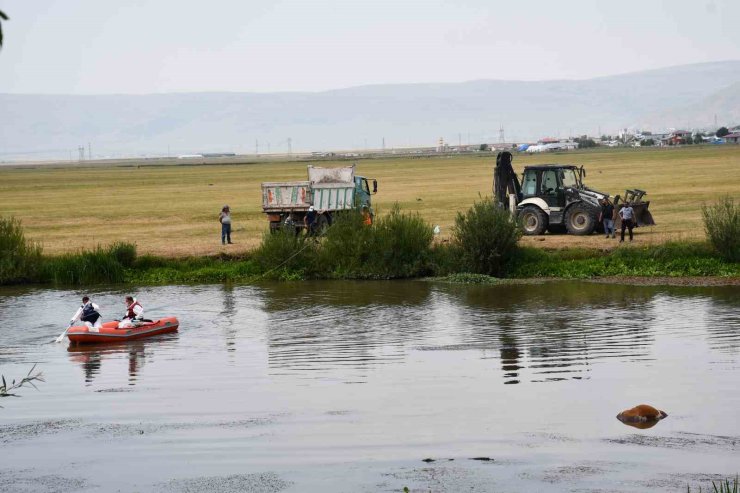 Kura nehrine düşerek boğulan inek can verdi