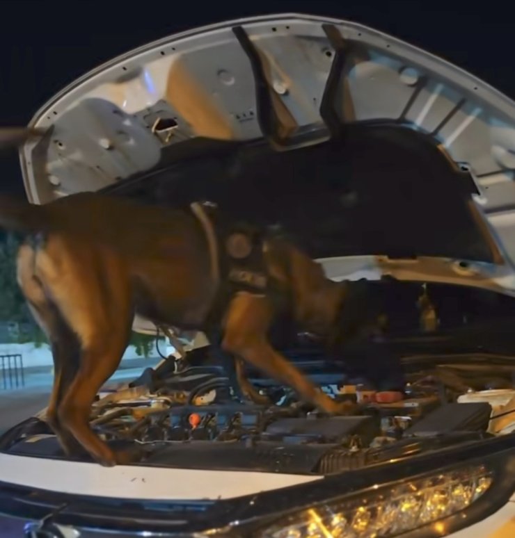 Muş’ta polis ekiplerinden suç ve suçlulara geçit yok