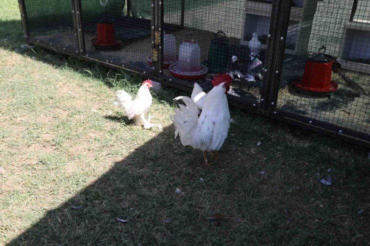 Engelsiz Yaşam Merkezi’nden yeni rehabilitasyon uygulaması