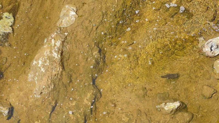 Muradiye Bendimahi Çayı’nda su seviyesi düştü: Siraz balığı yavruları tehlikede