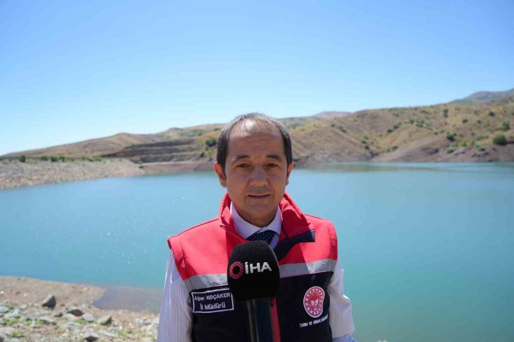 Erzincan’da Göyne Barajına 200 bin yavru sazan balığı bırakıldı