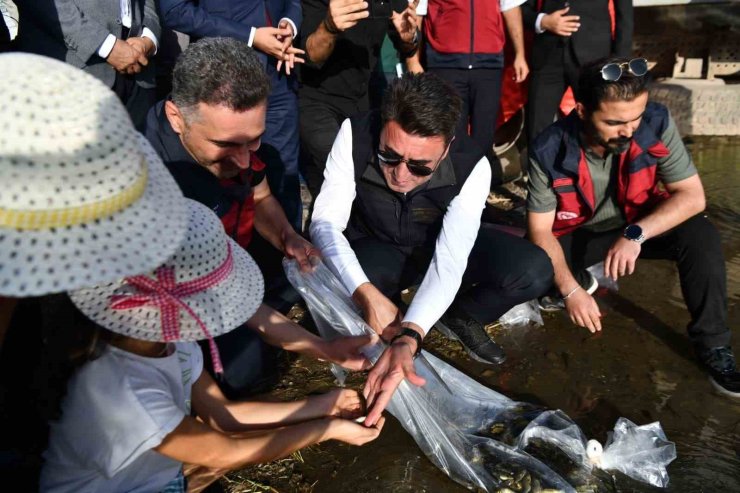 Tunceli’de 850 bin adet balık suyla buluşturuldu