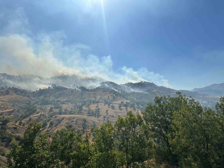 Bingöl’deki orman yangını kontrol altına alındı
