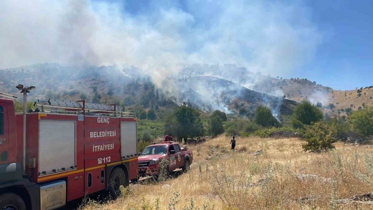 Bingöl’de köyde çıkan yangın ormana sıçradı, müdahale sürüyor