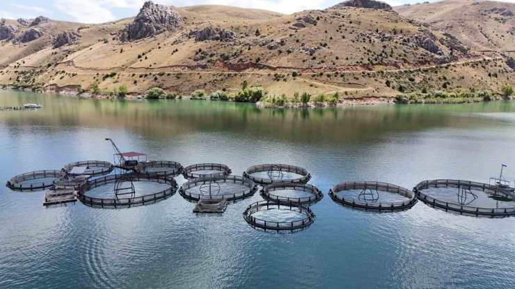 Denizi yok balıkçılıkta iddialı il