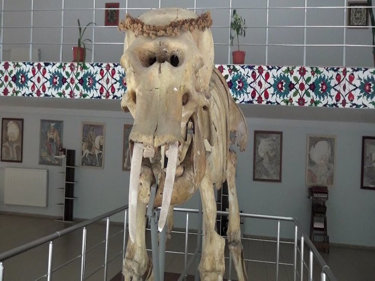 Kemaliye’deki müzede bulunan objeler arşivlendi