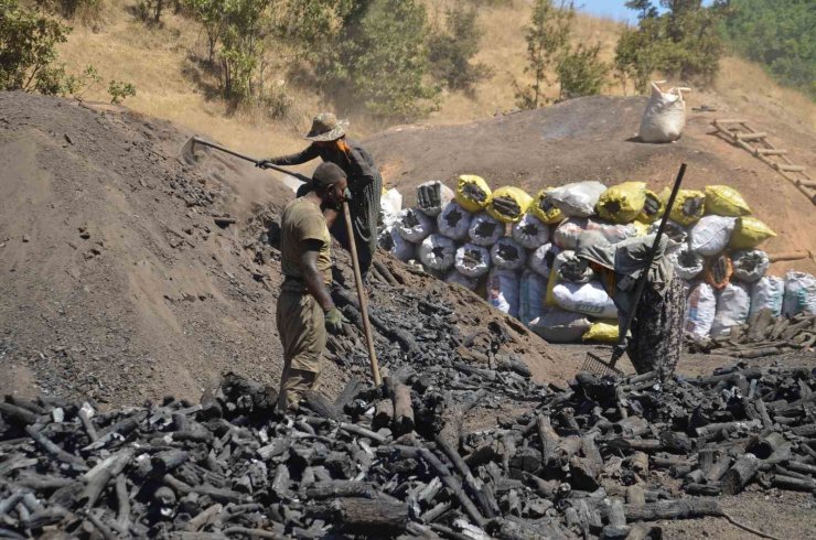 Muş’ta mevsimlik işçilerin zorlu mangal kömürü mesaisi