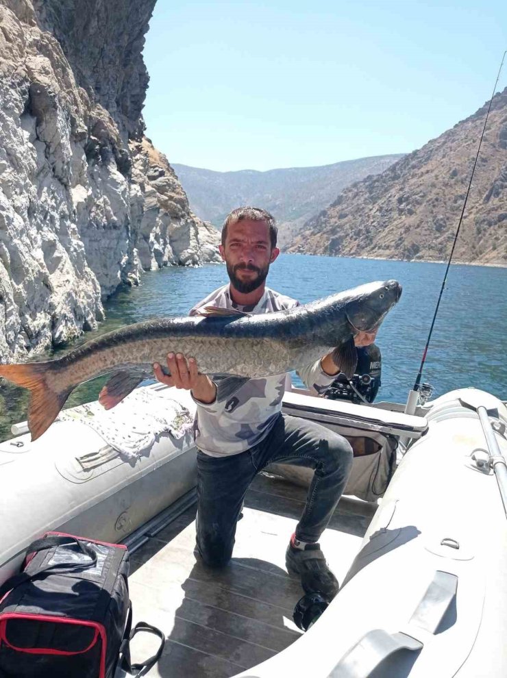 Elazığ’da amatör balıkçı, 11 kiloluk dev şabut yakaladı