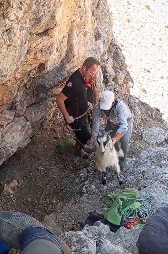 Malatya’da dağlık alanda mahsur kalan keçiler kurtarıldı