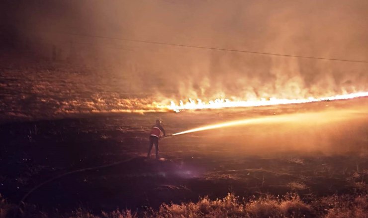 Çaldıran’da anız yangını