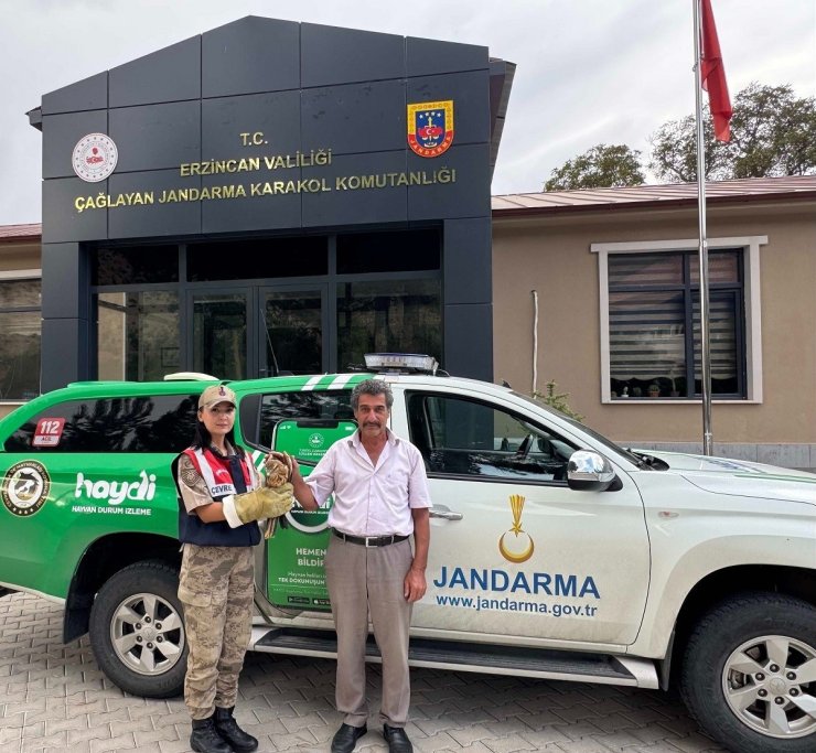 Yaralı Şahin’e jandarmadan şefkat eli