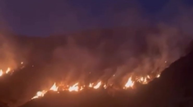 Erzincan’da örtü yangını ormana sirayet etmeden kontrol altına alındı