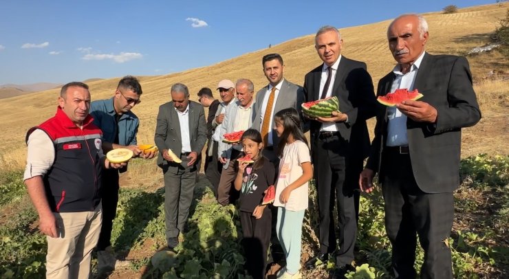Yüksekova’da mısır, karpuz ve kavun hasadı yapıldı