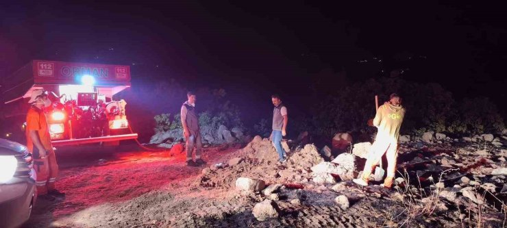 Bingöl’de çıkan orman yangınları kontrol altına alındı