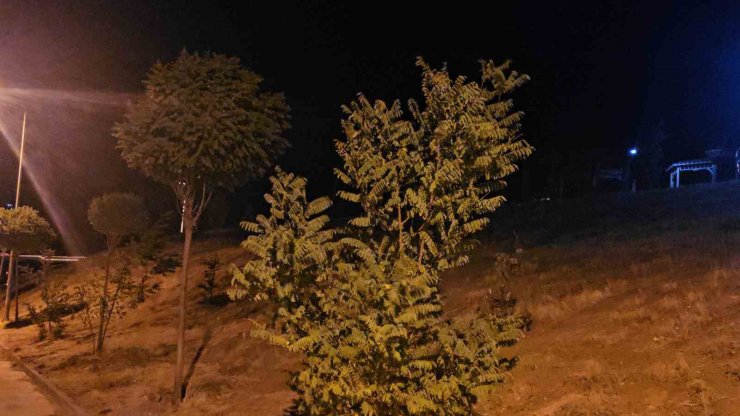 Elazığ’da kuvvetli rüzgar etkisini sürdürüyor