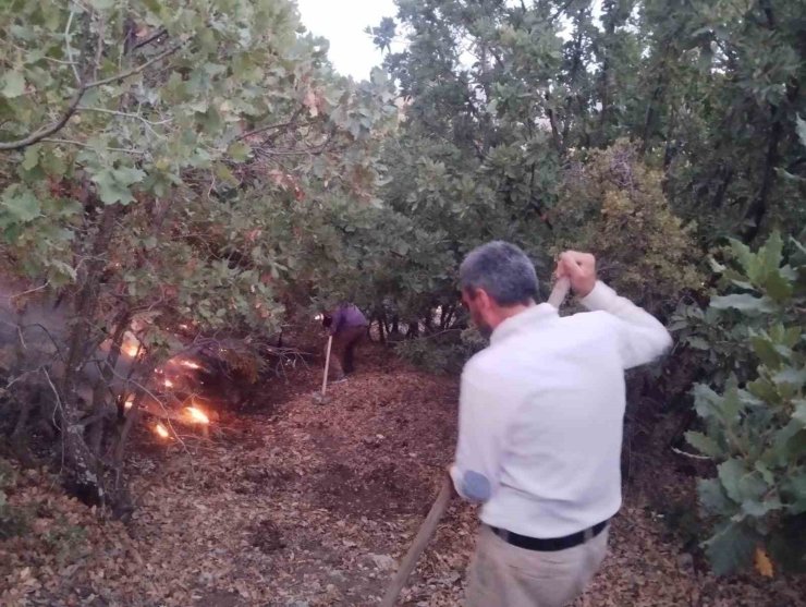 Elazığ’da ağaçlık alanda yangın