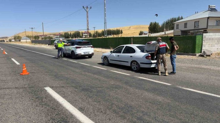 Ağrı’da jandarmadan huzur uygulaması: 3 şahıs ve 7 düzensiz göçmen yakalandı