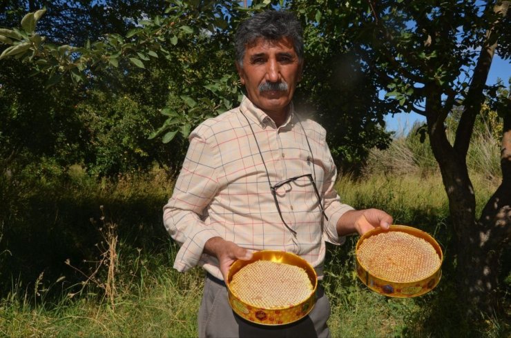 Malatya’da bal hasadı başladı
