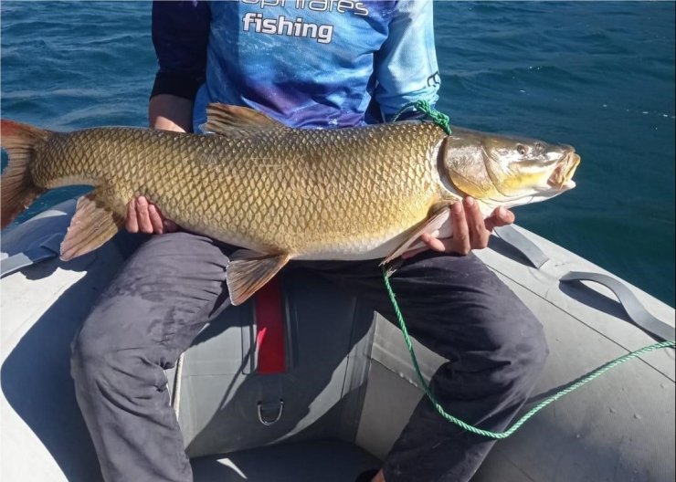 Elazığ’da amatör balıkçı 15 kiloluk dev turna yakaladı