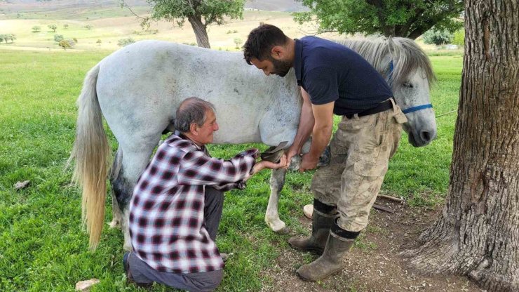 Kemaliye’nin son nalbant ustası yarım asırdır mesleğini sürdürüyor