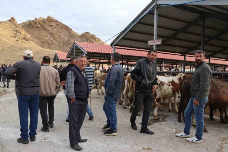 Oltu canlı hayvan pazarı şap hastalığı sonrası eski canlılığına kavuştu