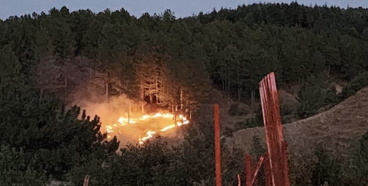 Bingöl’de çıkan orman yangını kontrol altına alındı