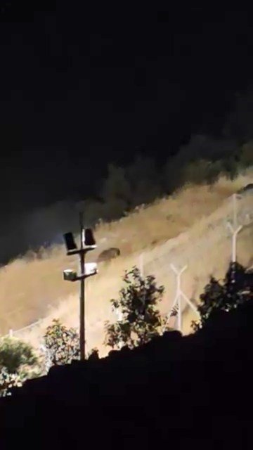 Elazığ’da ayılar kış uykusu öncesi yiyecek ararken görüntülendi