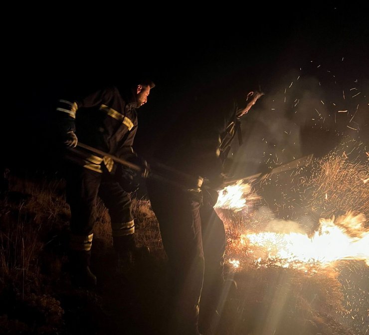 Erzincan’da örtü yangını söndürüldü