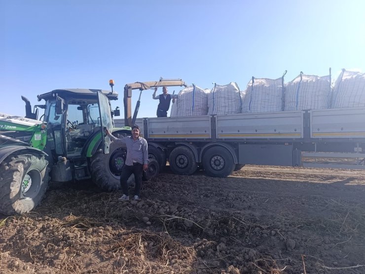 Patnos’ta patates hasadı başladı