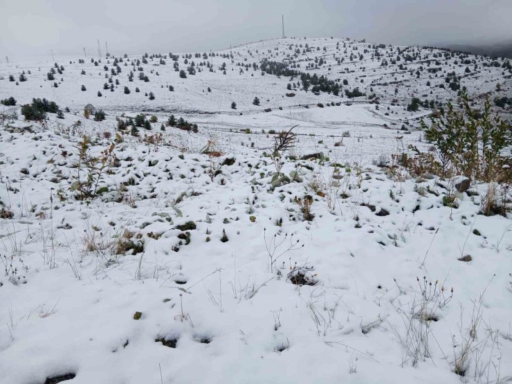 Posof’ta kar yağışı etkili oldu