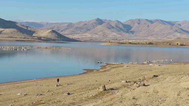 Erciş’teki barajları kuraklık vurdu: Su seviyesi kritik seviyelere düştü