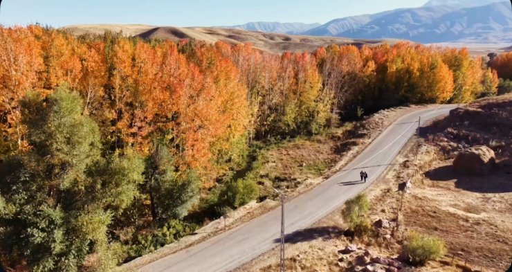 Yüksekova’da sonbahar ihtişamı: Kırmızı, sarı ve yeşil Cilo eteklerini cennete çevirdi