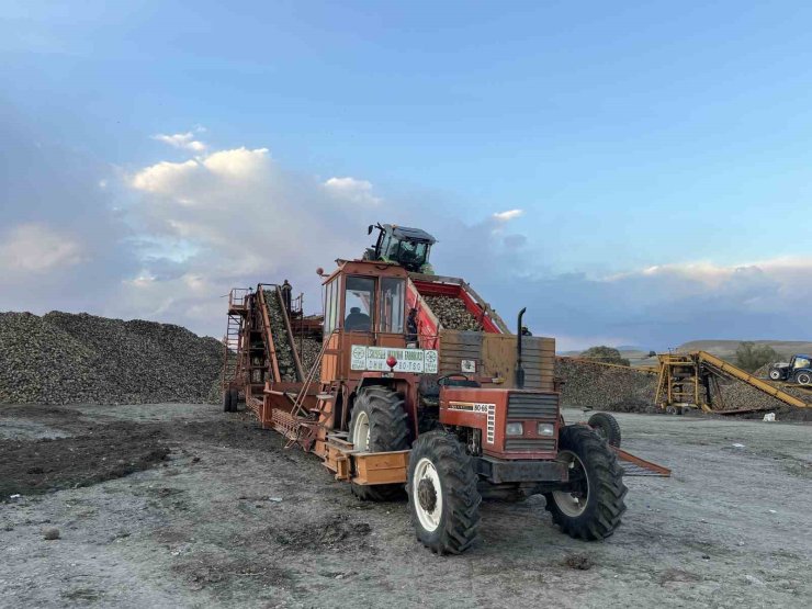 Kars’ta şeker pancarı hasadında yoğun mesai: Çiftçiler zamanla yarışıyor