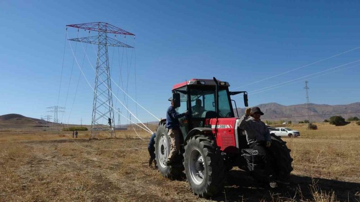 Van’da 31 kilometrelik enerji hattı tamamlandı: Çalışmalarda yabani kuşlar gözetildi