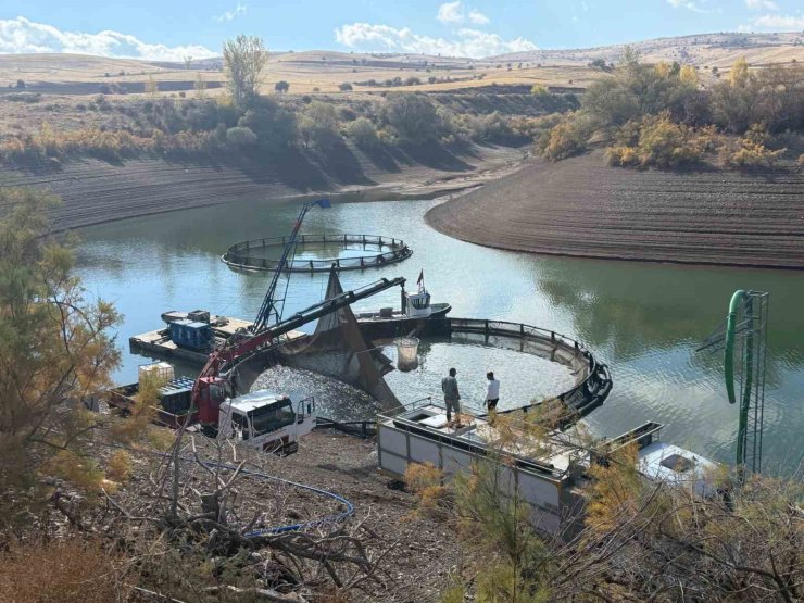 Tercan Baraj Gölü’nde su ürünleri üretimi büyüyor