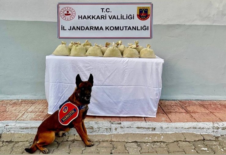 Hakkari’de 15 kilogram esrar ele geçirildi