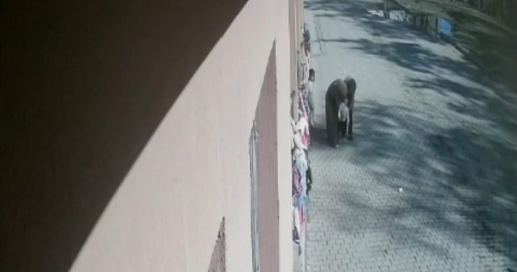 Öğrencisinin boğazına kaçan şekeri heimlich manevrasıyla çıkardı