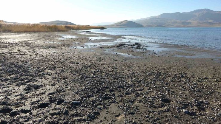 Erçek Gölü’nde su çekilince mikrobiyalitler ortaya çıktı