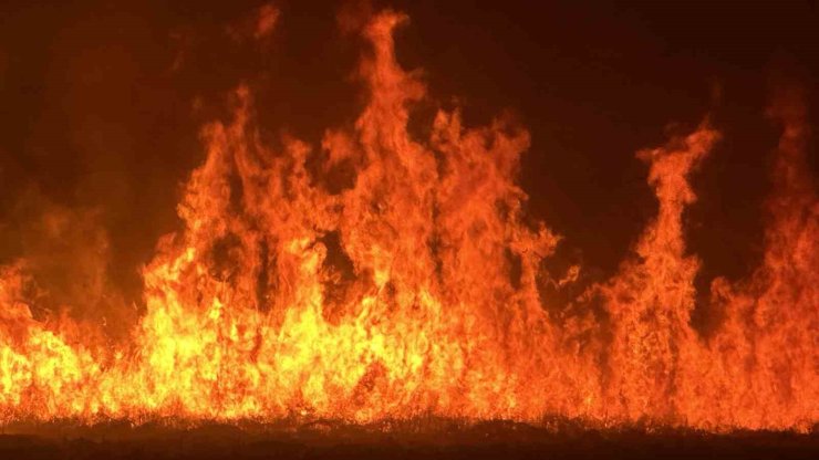 Yüksekova’da kuş cenneti Nehil Sazlığı’ndaki yangın yerleşim yerlerini tehdit ediyor