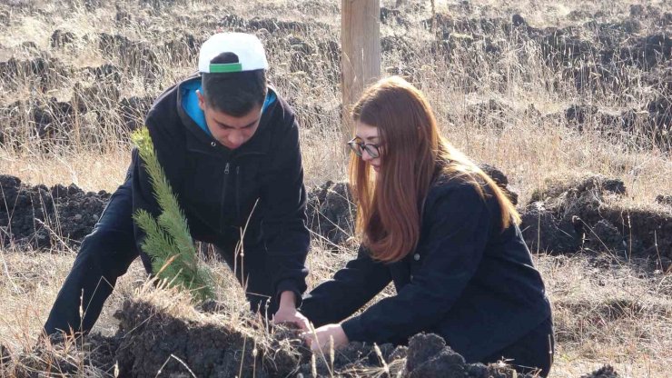 Ardahan’da Milli Ağaçlandırma Günü’nde fidanlar toprakla buluştu