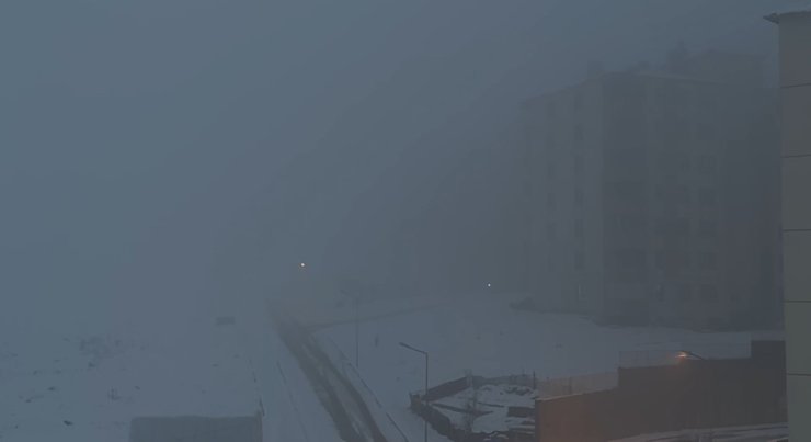 Yüksekova’da yoğun sis hayatı felç etti