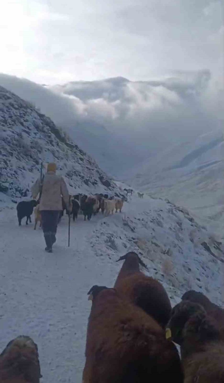 Ağrı’da kar ve tipi hayatı durdurdu