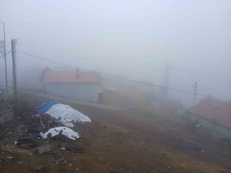 Posof’ta yoğun sis etkiliyor oluyor