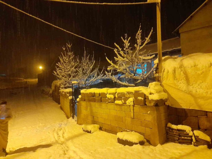 Ahlat’ta kar yağışı